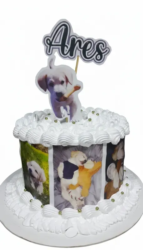 Torta para perrito personalizada